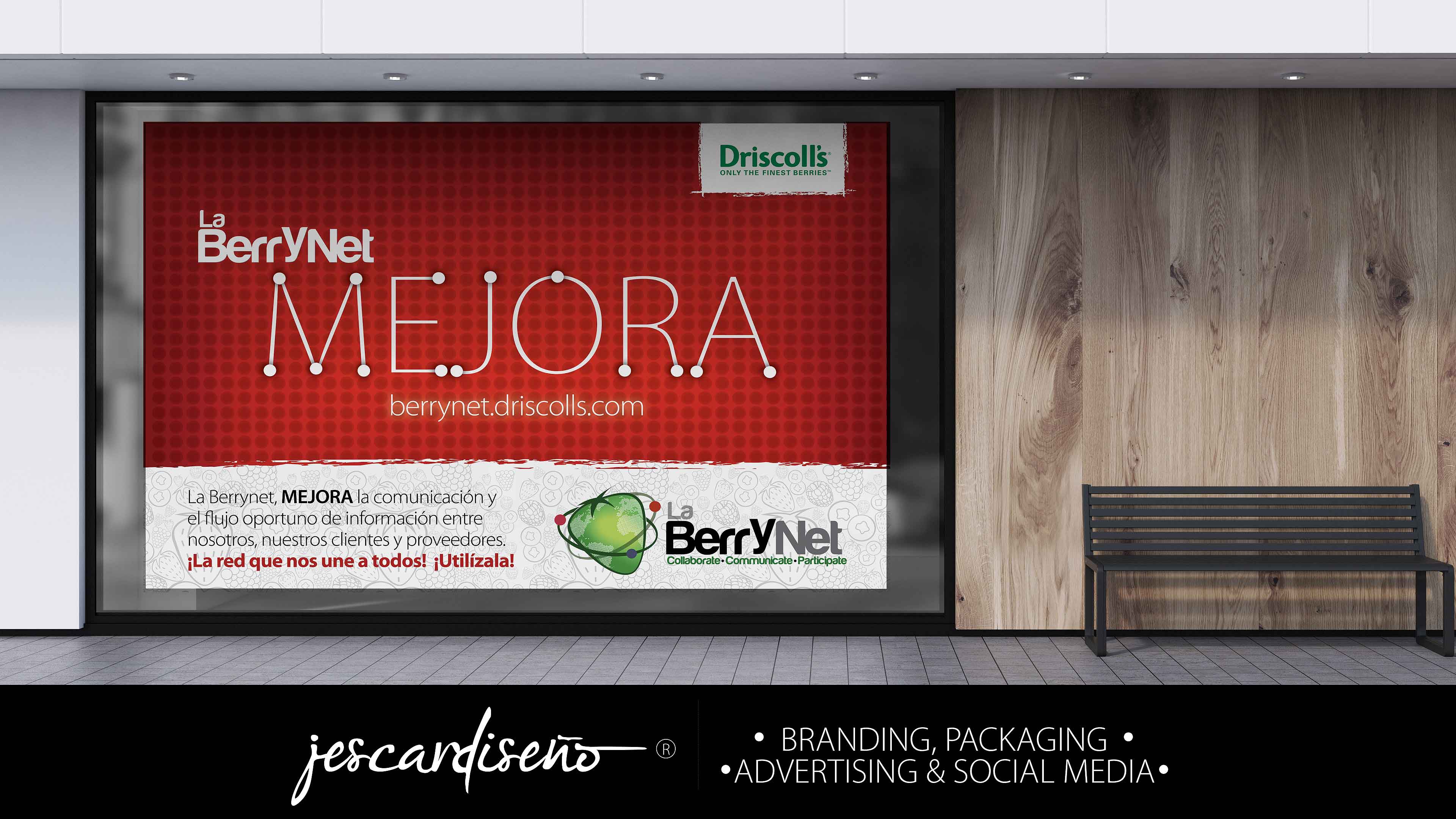 driscolls berrynet packaging branding jescardiseno portafolio a