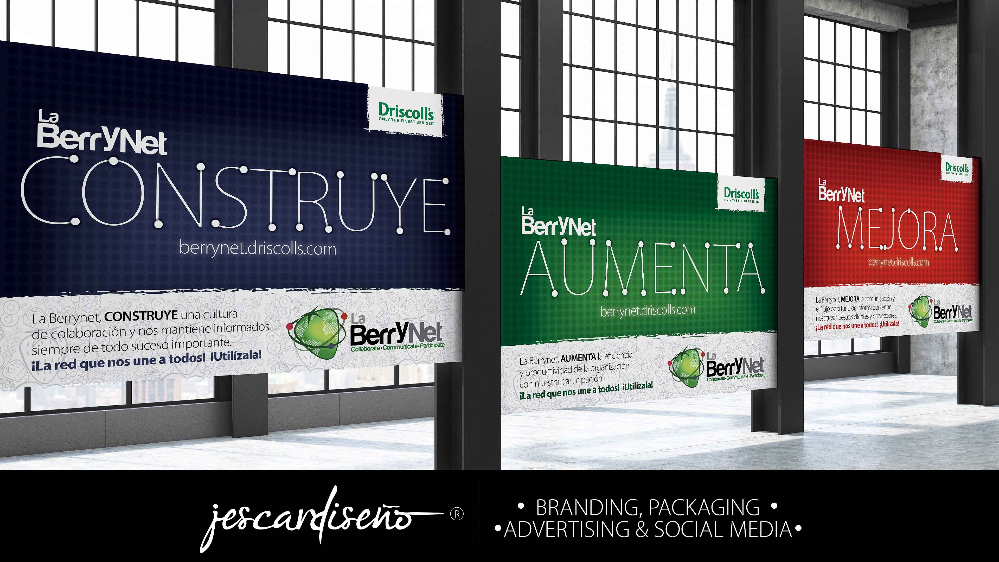 driscolls berrynet packaging branding jescardiseno portafolio b